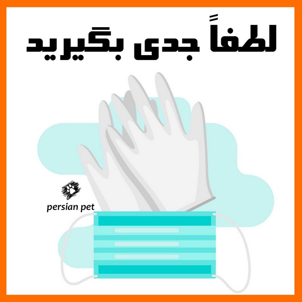 در پرشین پت رعایت  اصول بهداشتی اصل مهم است