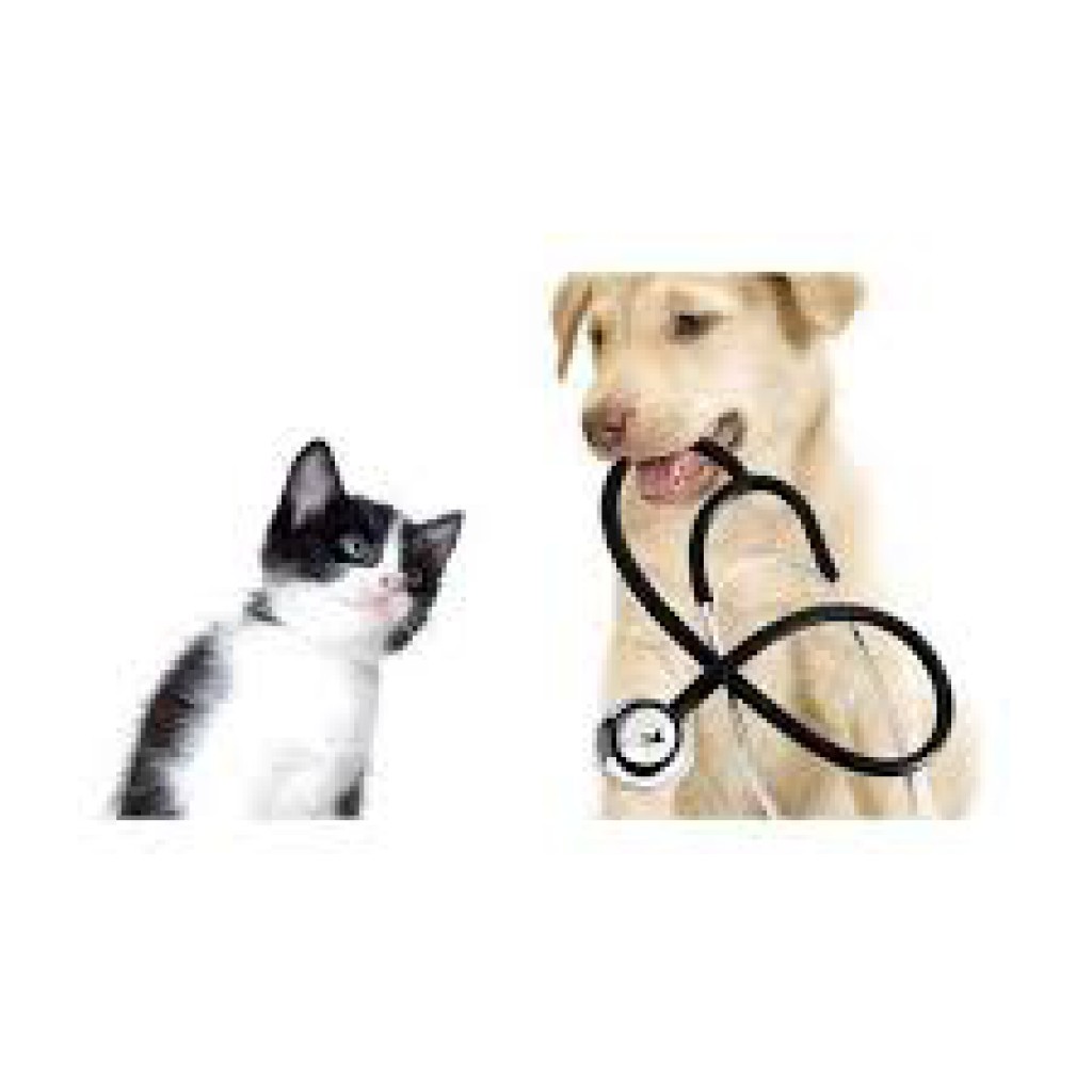 اطلاعیه درباره جوابدهی ازمایشگاه و خدمات درمانی