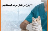 داستان پرشین پت در روزهای سخت