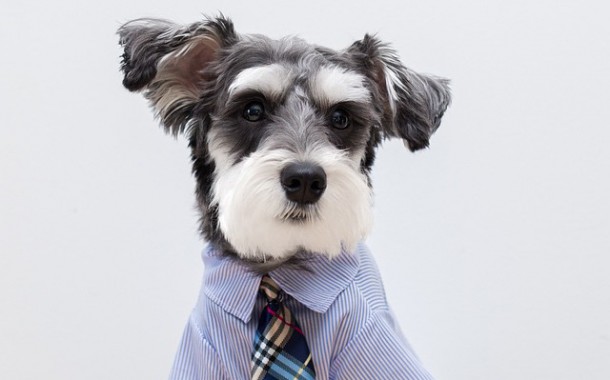 SMS برای ما بفرستید و عضو خبر نامه شوید