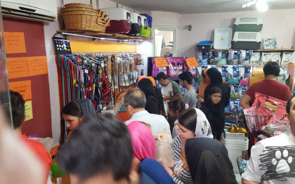 تیزر جدید پرشین پت