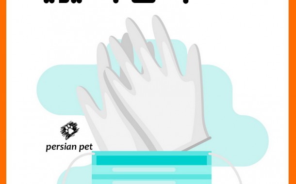 در پرشین پت رعایت  اصول بهداشتی اصل مهم است