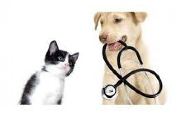 اطلاعیه درباره جوابدهی ازمایشگاه و خدمات درمانی