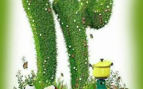 برنامه سیزدهم فروردین چهارصد و پنج