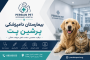 بیمارستان دامپزشکی پرشین پت تهران | Persian Pet Veterinary Hospital