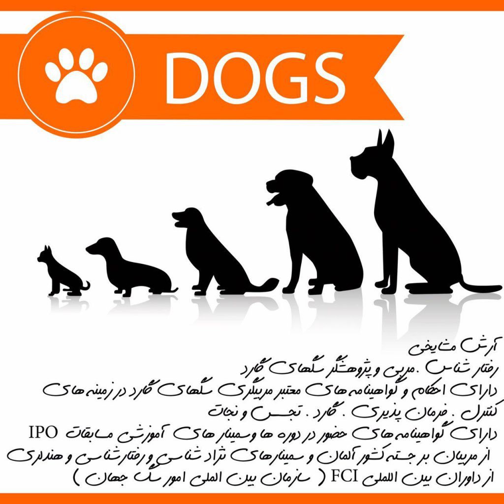حضور برترین مربی تربیت سگ در ایران