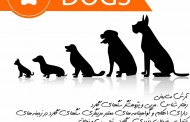حضور برترین مربی تربیت سگ در ایران