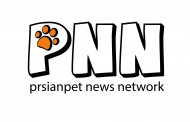شبکه PNNکاری جدید از پرشین پت