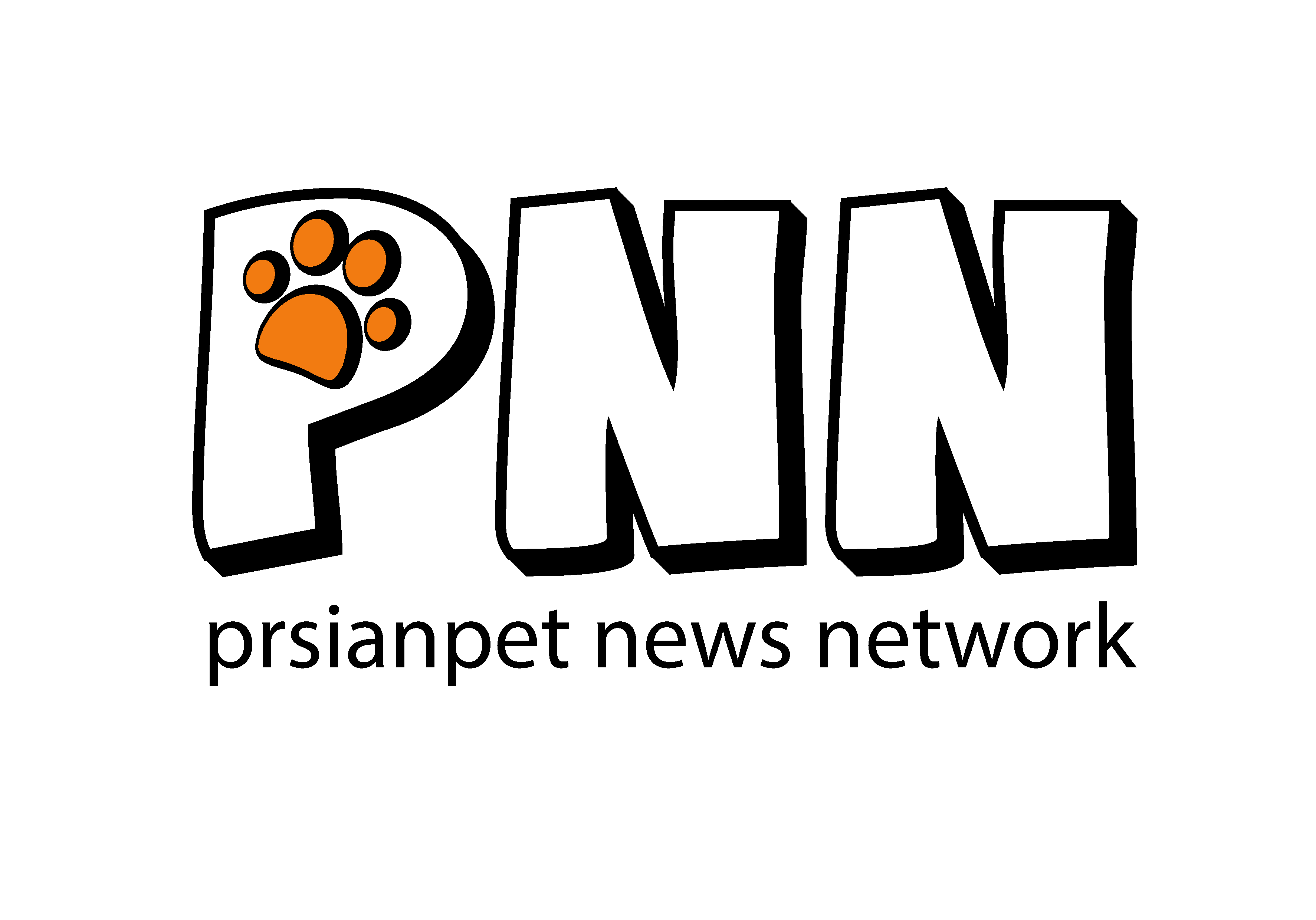 pnn-png-3