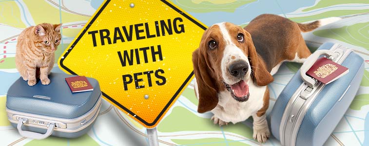Dog.com-Traveling-With-Your-Pet-Landing-Page_01
