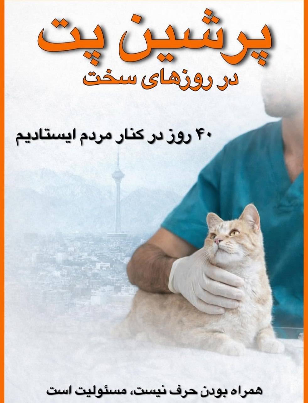 داستان پرشین پت در روزهای سخت